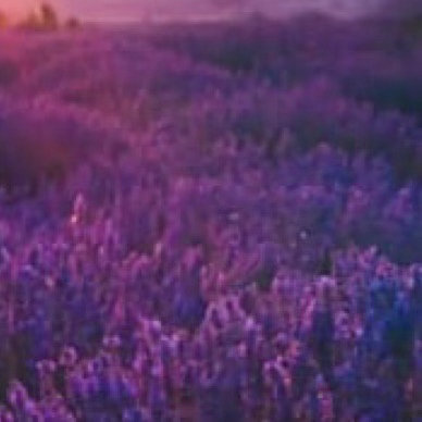 人人公益节 丨人人公益节 这个世界，人与人之间的相处，靠的是一颗真诚的心，而不是