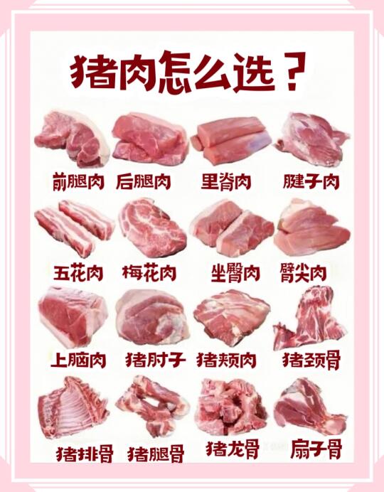 🐷【猪肉挑选全攻略】一篇教会你如何选对部位不踩雷‼️ 🌟家庭烹饪必...