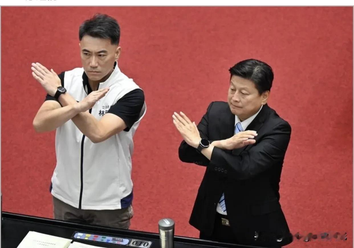 赖清德当局2026总预算艰难落地，拖延351天才闯关，国民党大规模删减设想未能实