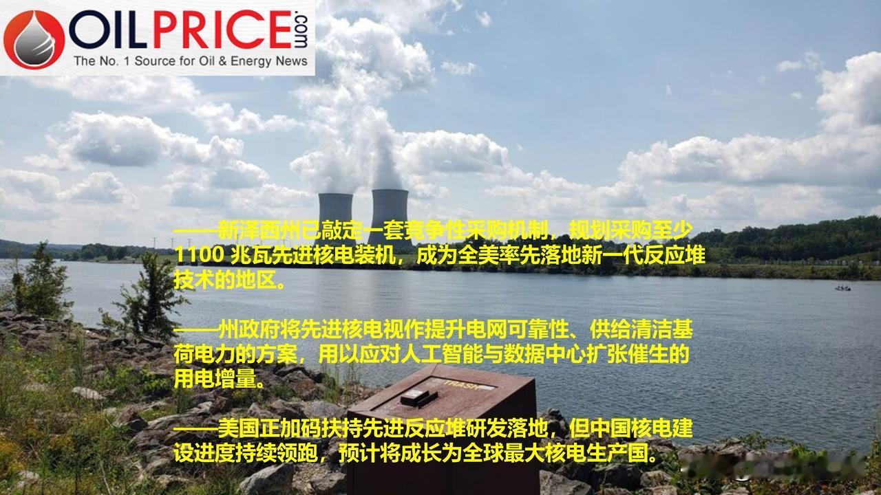 美国新泽西州重金押注小型核反应堆，这能保确立美国在全球核电市场持久的领先地位吗？