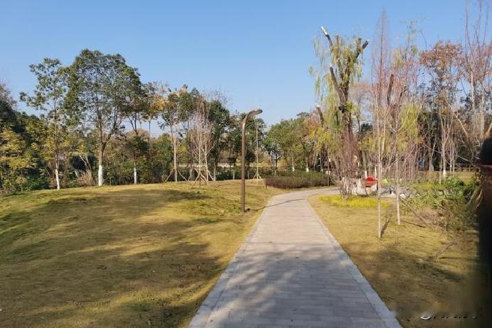 小县城里头，俩高中老同学的交情，本来像老酒一样越酿越醇，谁知几十年下来，账本一算