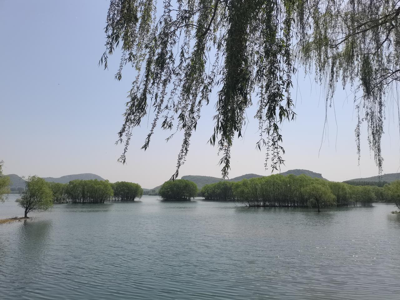 美丽的羊卧湾
在邢台西羊卧村南
有一片水域
远望山峦朦胧起伏
湖面水波粼粼
近处