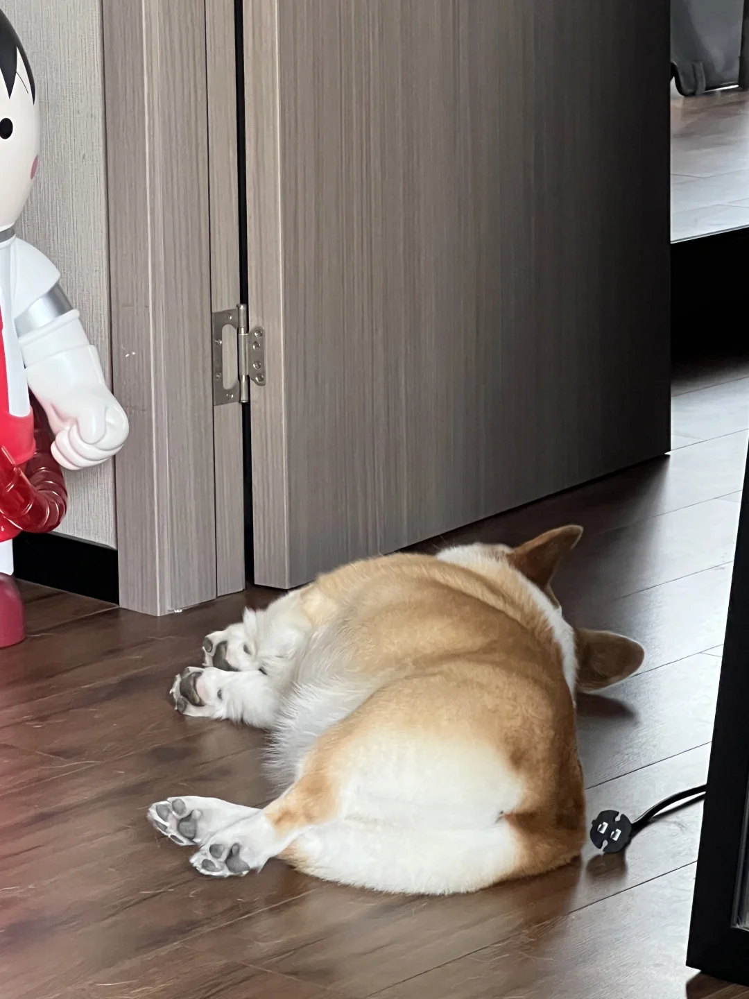 从前有一隻很胖的🐷…