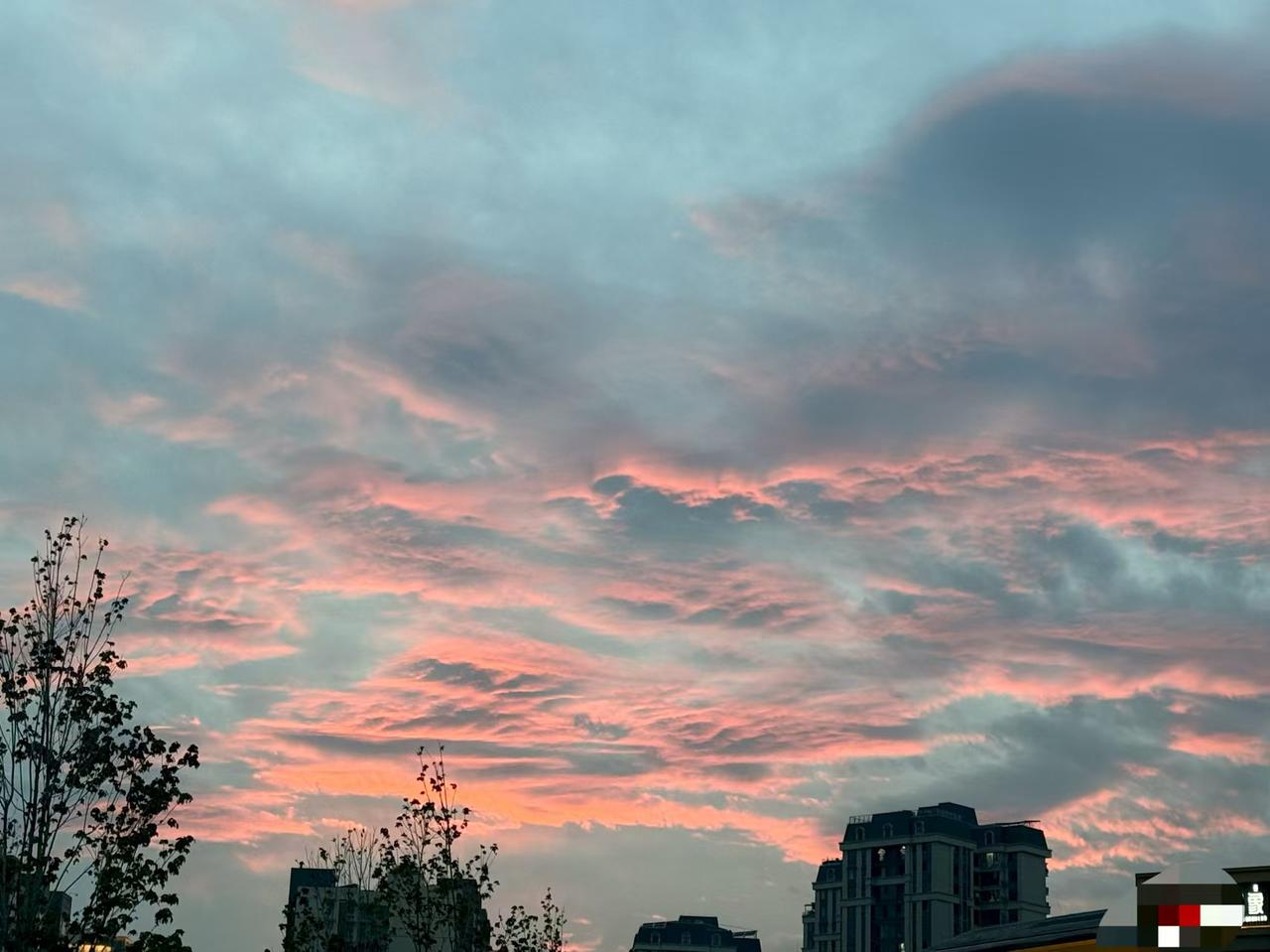盛夏的燥热总容易让人烦闷，可仔细找一找，藏在缝隙里的温柔，早已经悄悄抚平了奔波的