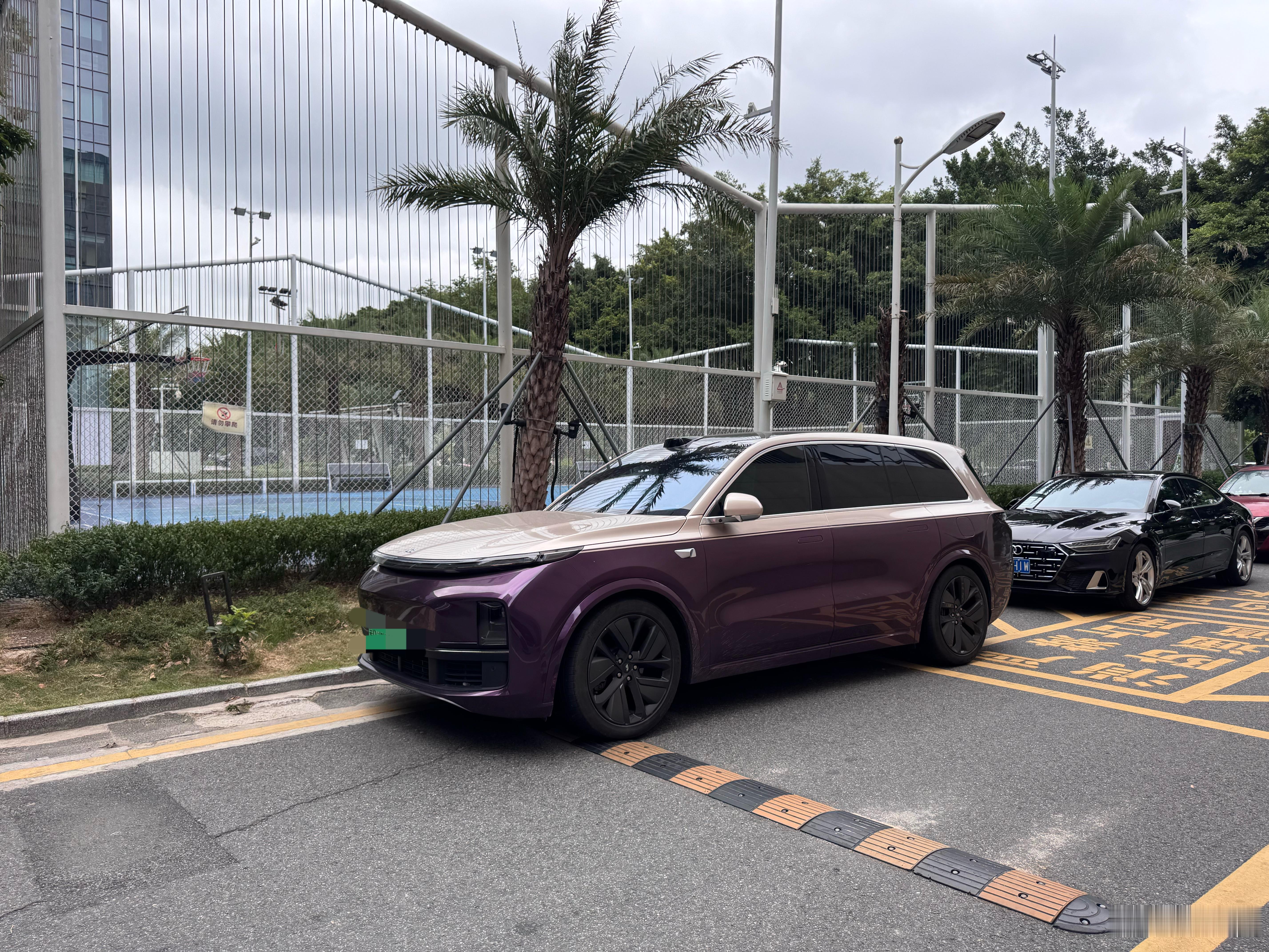 这个车主太有品味了！路过 N 次，拍了 N 次的紫金拼色理想！ ​​​