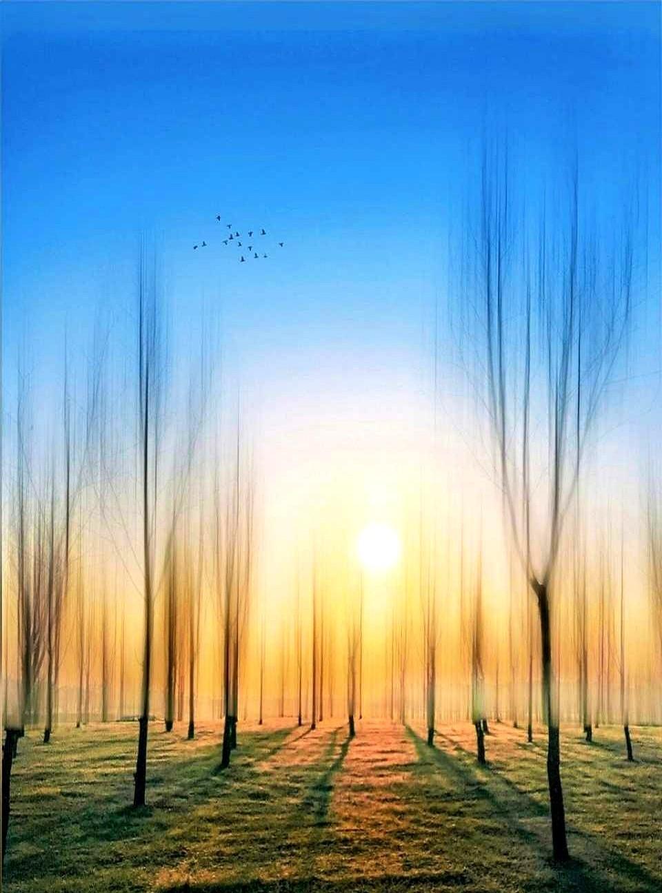 现在的有些剧，真是让人看不懂。
一个月挣几千块，住着大豪宅，这不就是典型的“悬浮