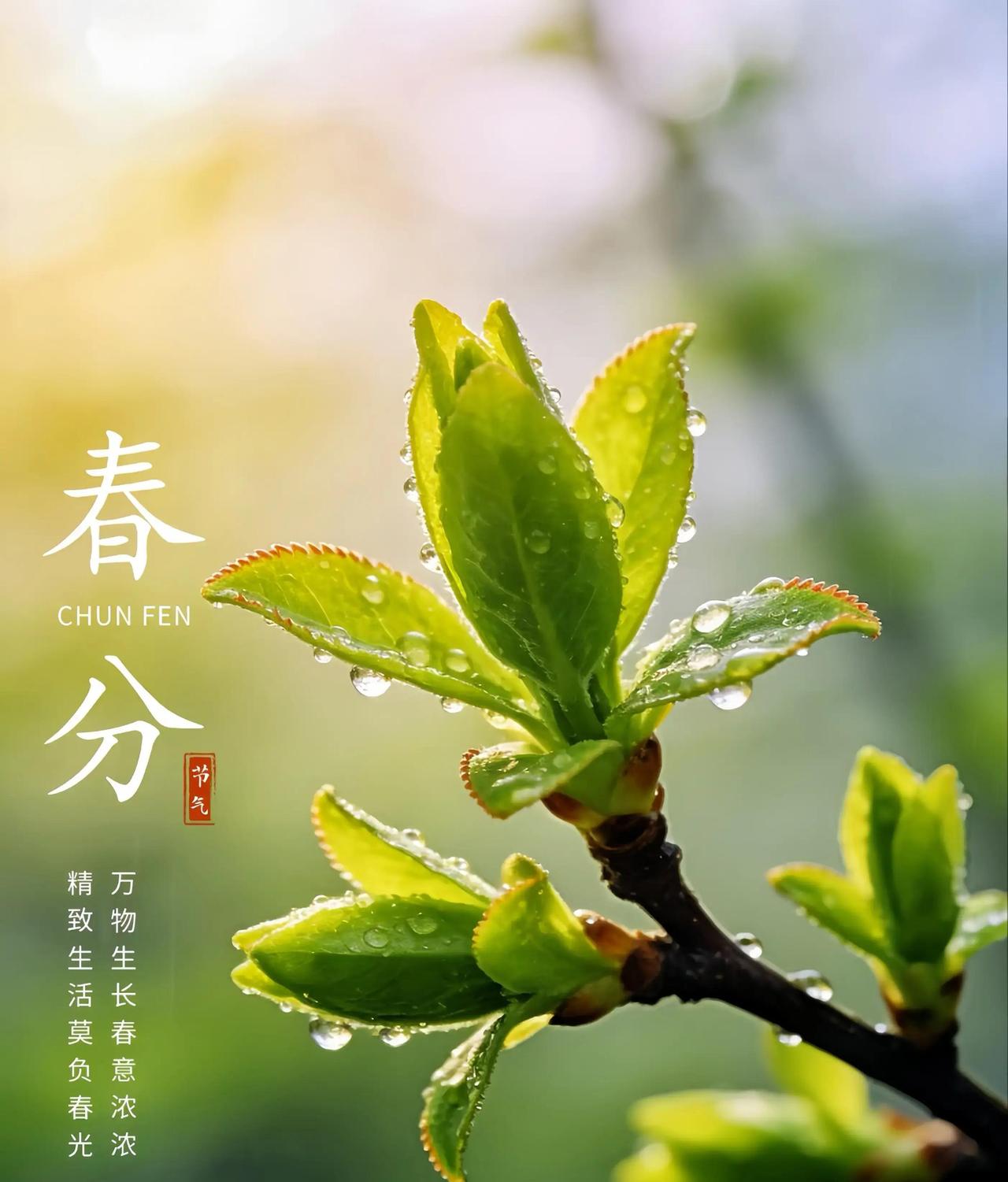 春分这天，全国多地昼夜平分，却意外刷屏一句古诗：一半欢喜一半耕耘，短短十个字直接