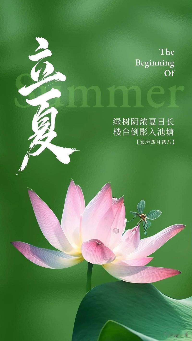 告别春天，和夏天撞个满怀。
愿你在这个夏天，有西瓜的甜，有晚风的凉，有不慌不忙的