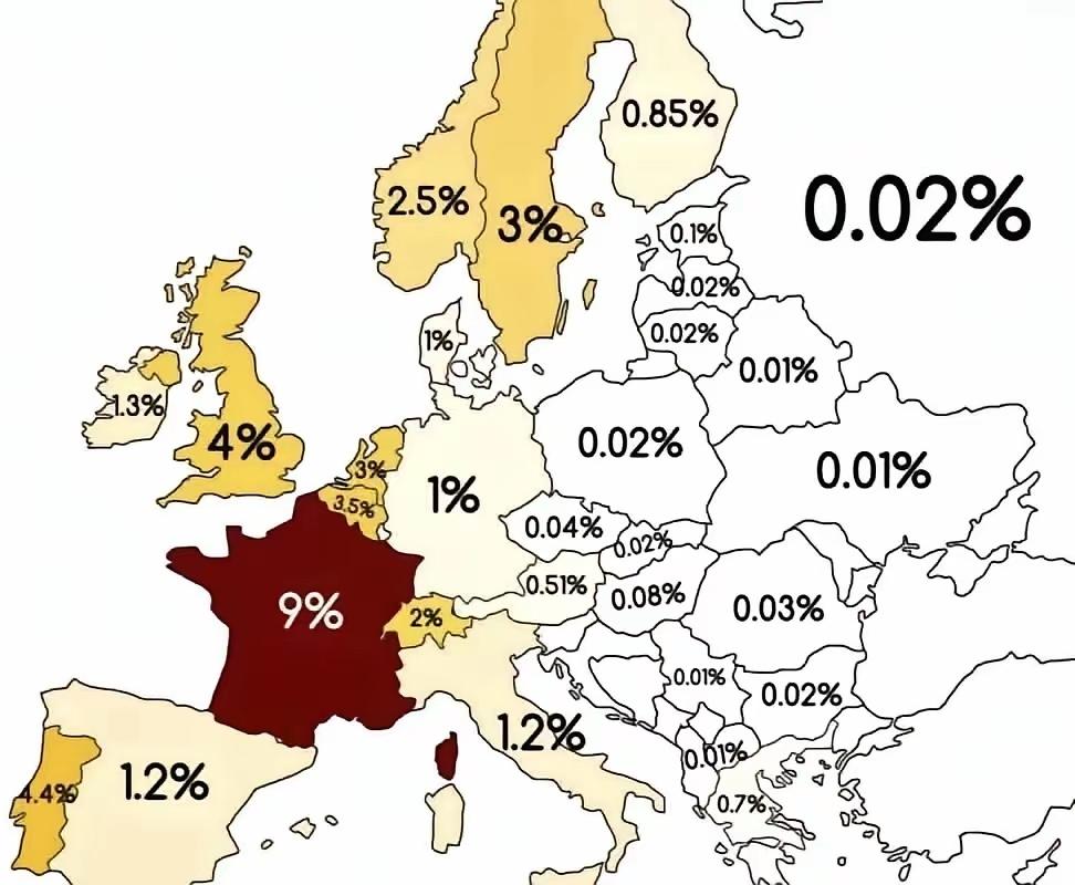 这是欧洲各个国家的黑人人口所占总人口的比例，其中法国以9%，遥遥领先欧洲各国。