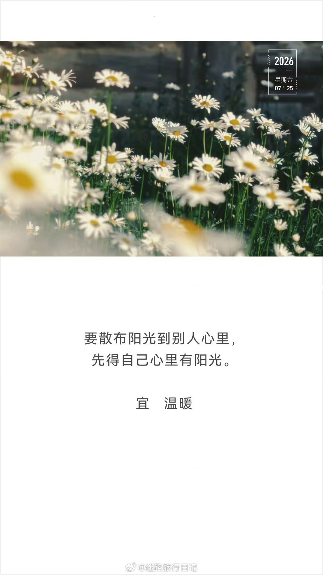 被大眼推荐能吓活，太可怕了！我逃离上家和正主无关，嗑CP嗑的是剧里延伸到剧外的美