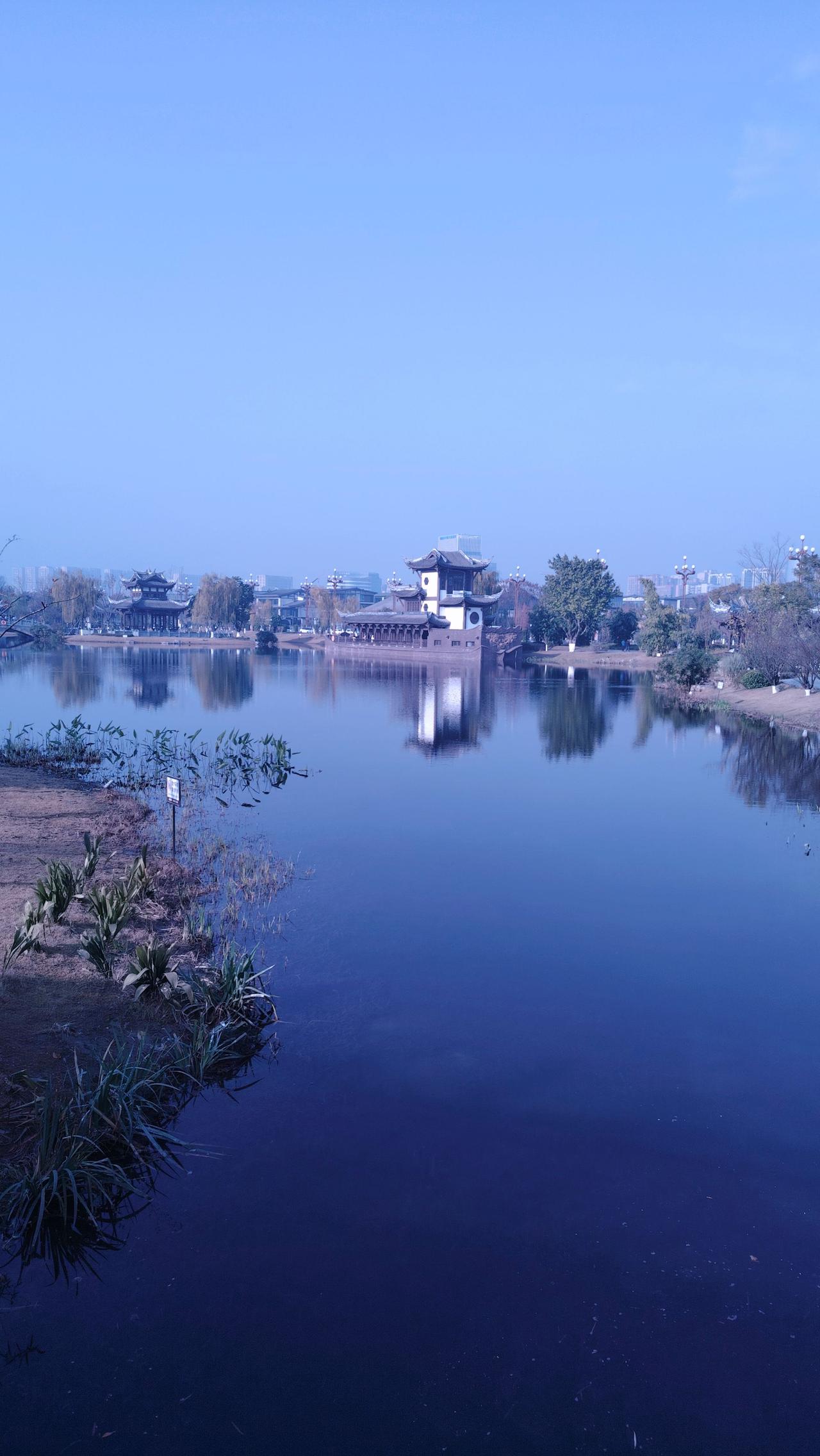 让我感到安慰的话我觉得是：
你要记住，除了生病以外，你所感受到的痛苦，都是你的价