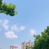 小枫读读科技