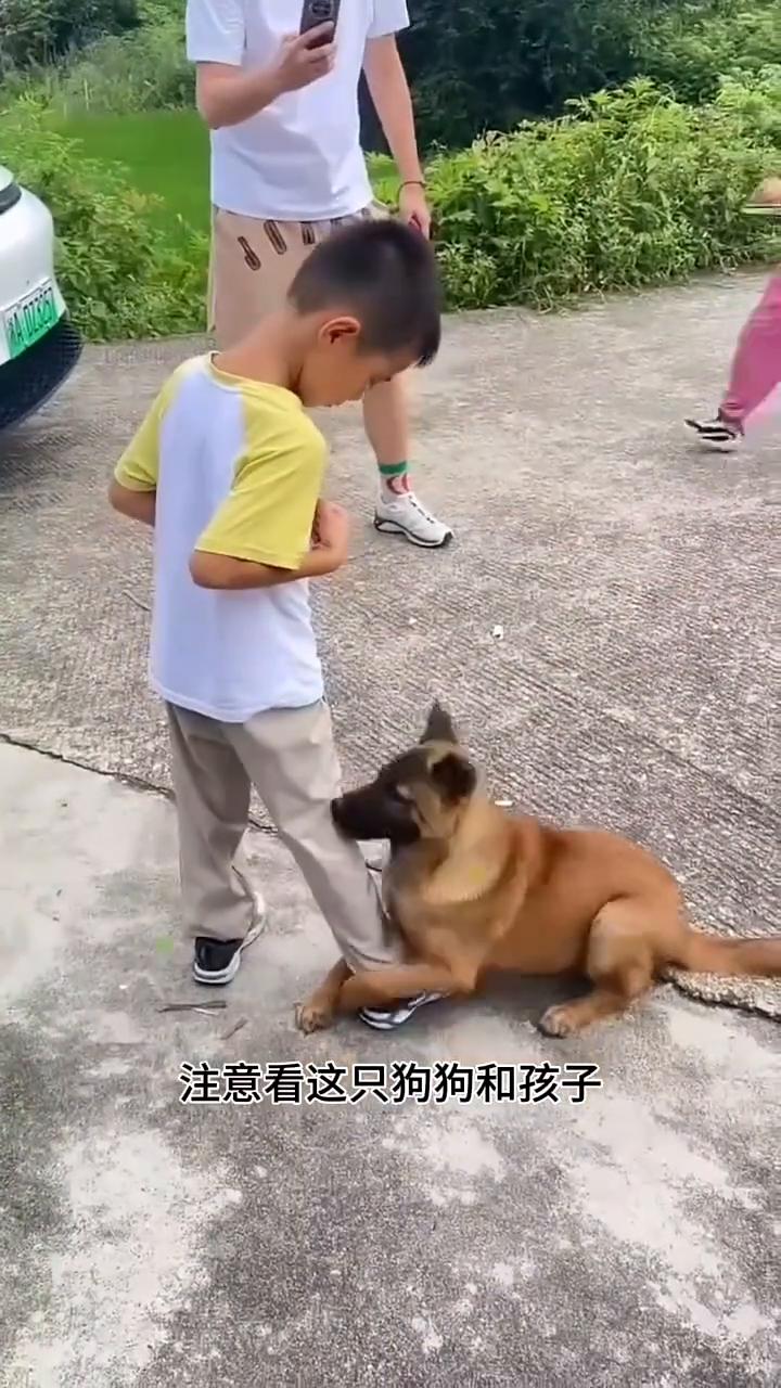 舍不得又无奈。
注意看，这只狗狗和孩子都是奶奶一手拉扯大的。当外出打工的妈妈回来