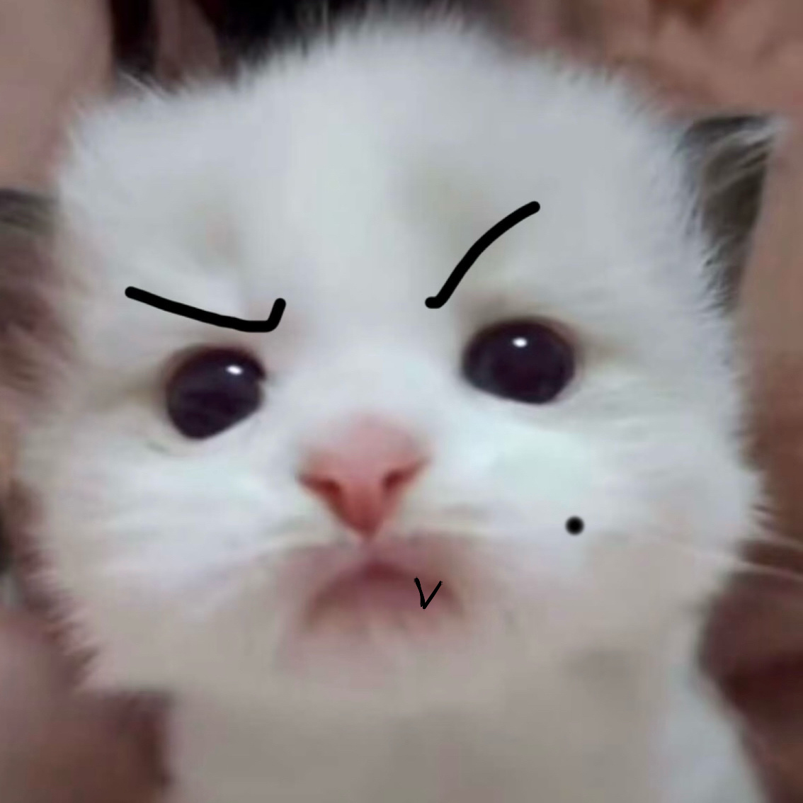 配那个bgm：这个就是我呀 头上有两个妙脆角 