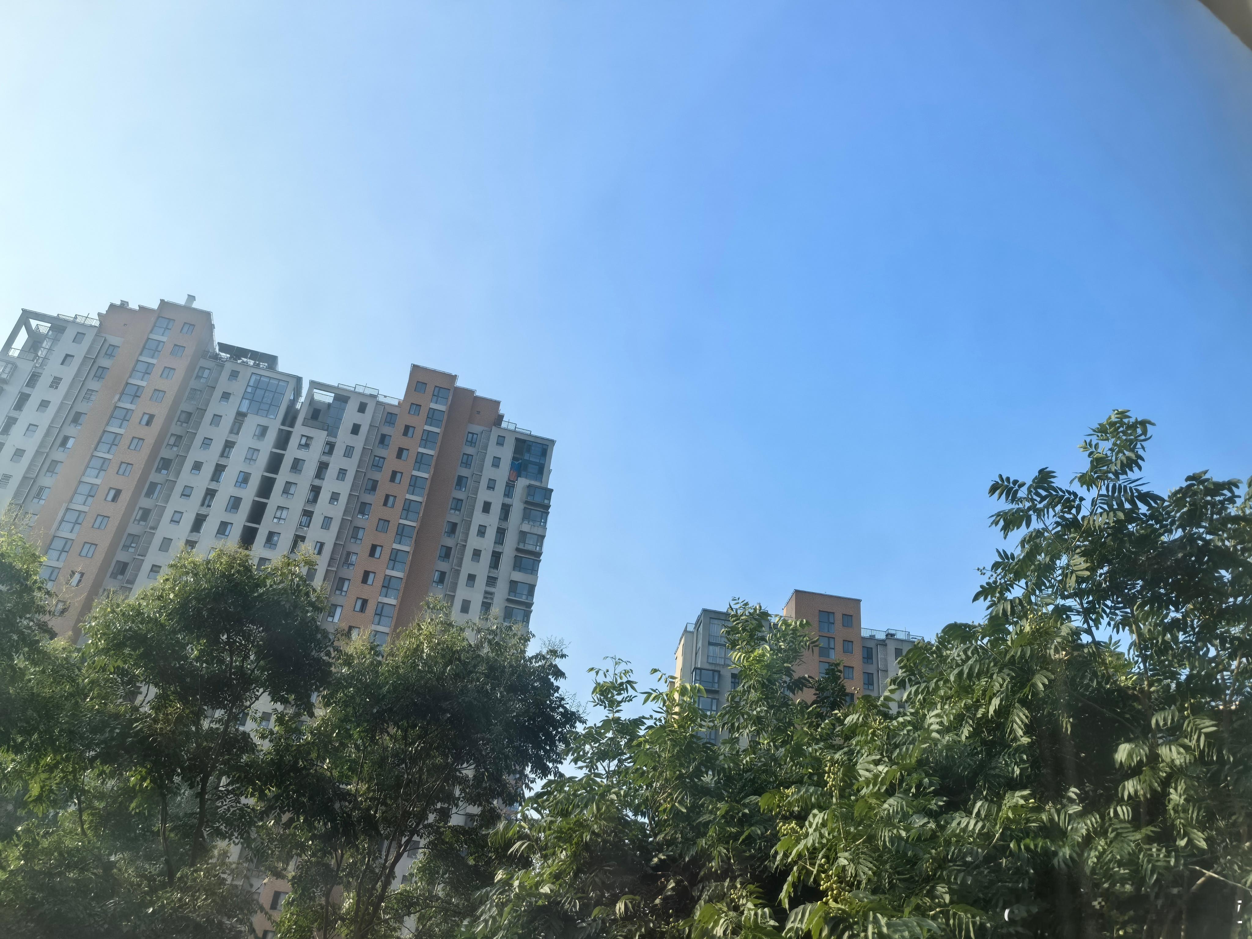生活手记 大晴天和美好的周末一起来啦☀️，早餐已结束，做会操等我的宝贝女儿睡醒了