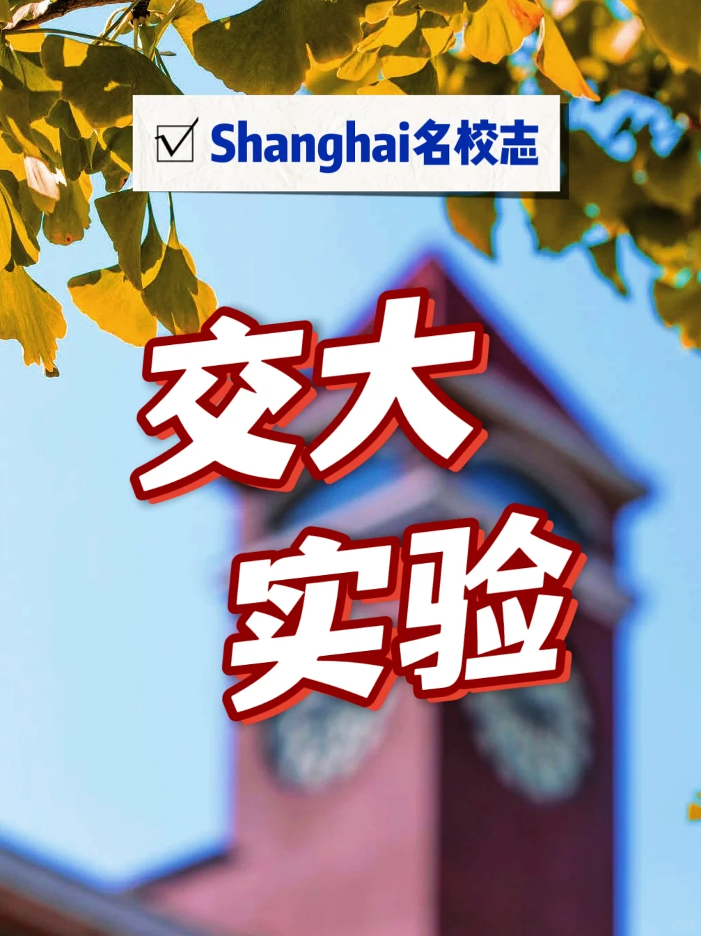 上海交大猛烈加持，这所学校开盘价多少👉