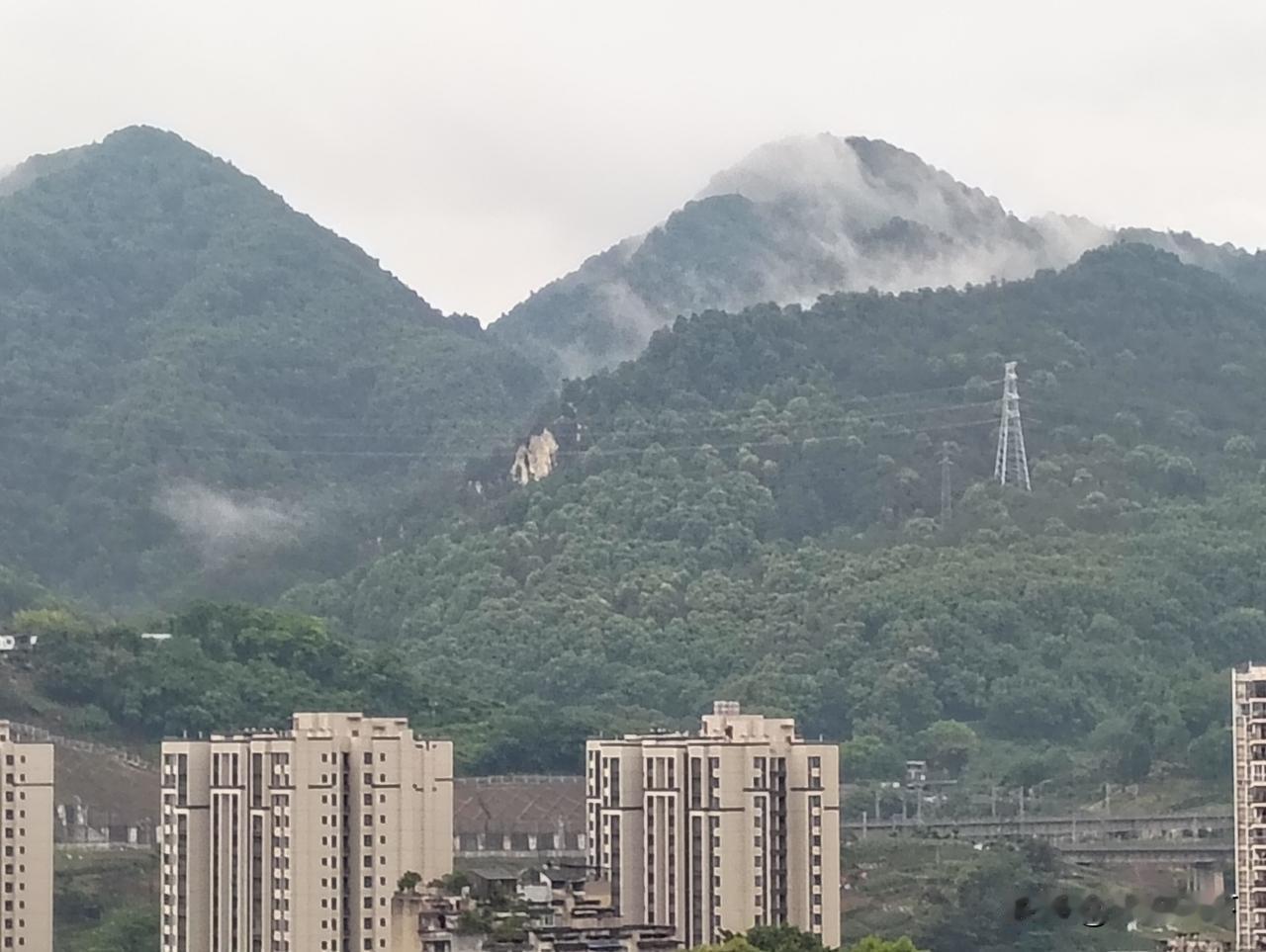 重庆这个天气这两天就像过山车，昨天白天还热得穿短袖，晚上吹大风，今天早上起来还凉