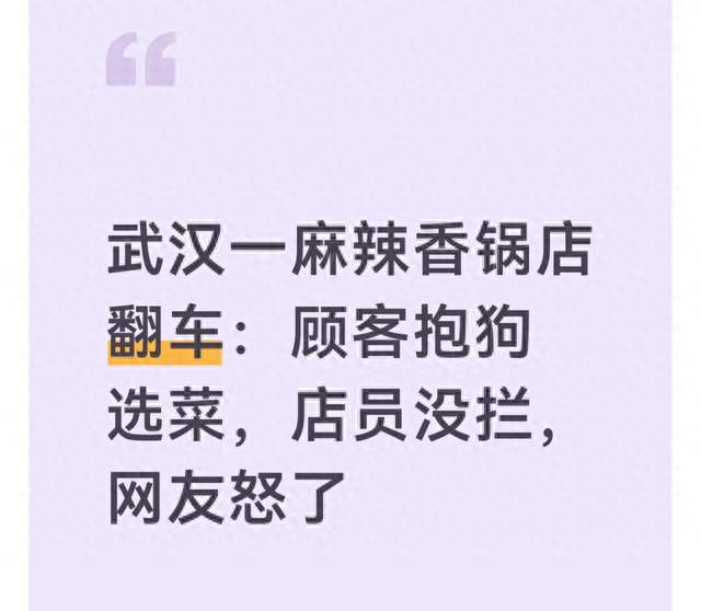 武汉一麻辣香锅店翻车：顾客抱狗选菜，店员没拦，网友怒了