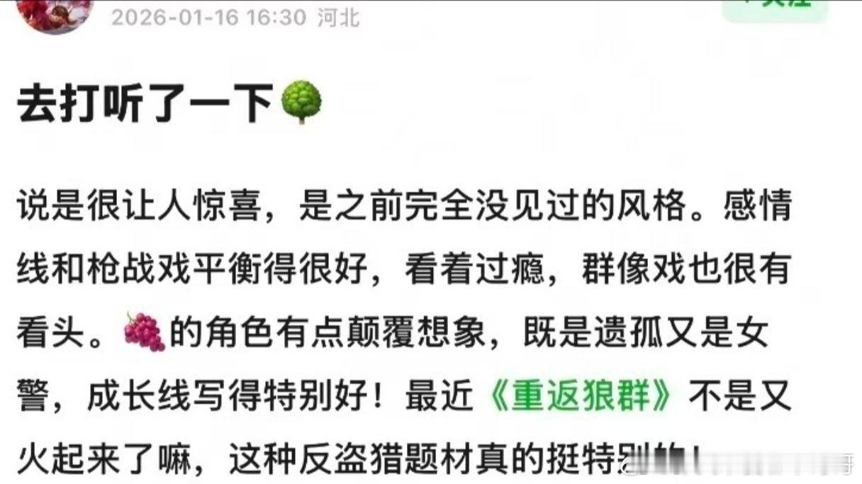 杨紫生命树repo：让人惊喜，看起来过瘾 