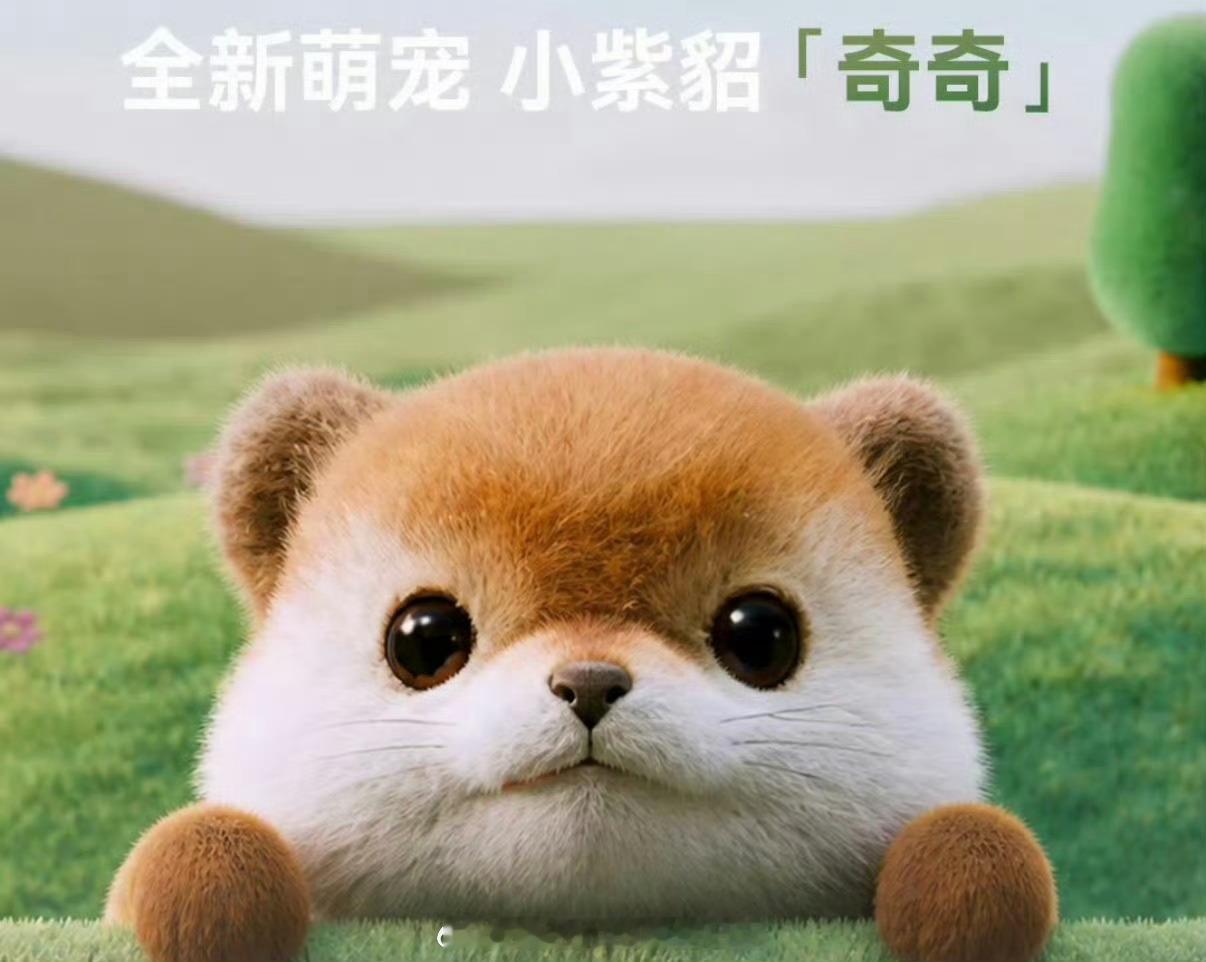 小紫貂奇奇紫奇我们这样真的不会太明显吗看得出来这个名字真的是很用心才想到的哈哈哈