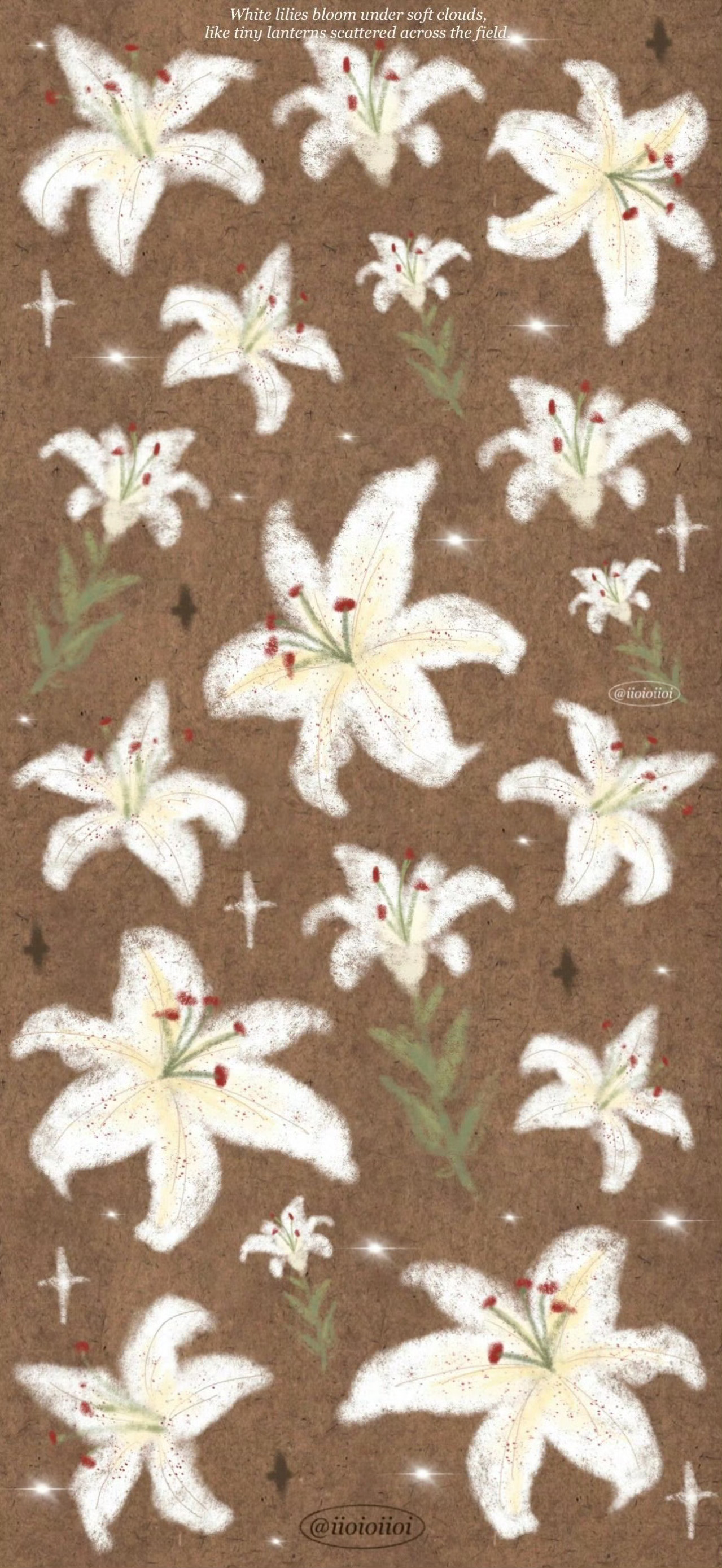 𝒔𝒉𝒂𝒓𝒆 百合花壁纸 (៸៸᳐⦁⩊⦁៸៸᳐ )੭🌸 ྀི 