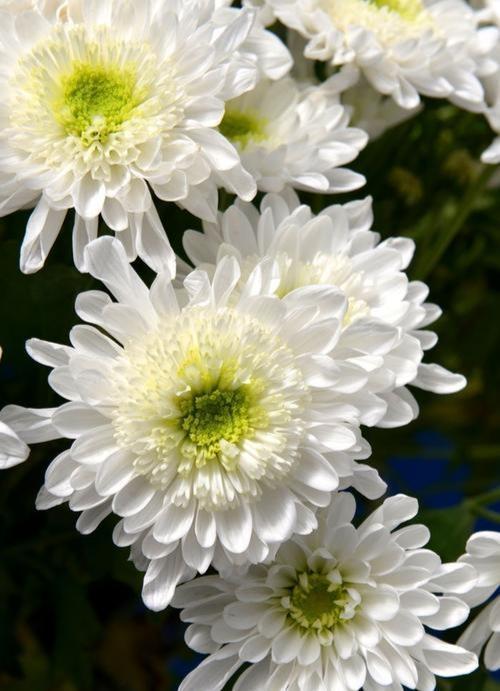 孩子，妈妈决定了，一定勇敢前行！你知道的。

只是我今后所有的所有，有50%