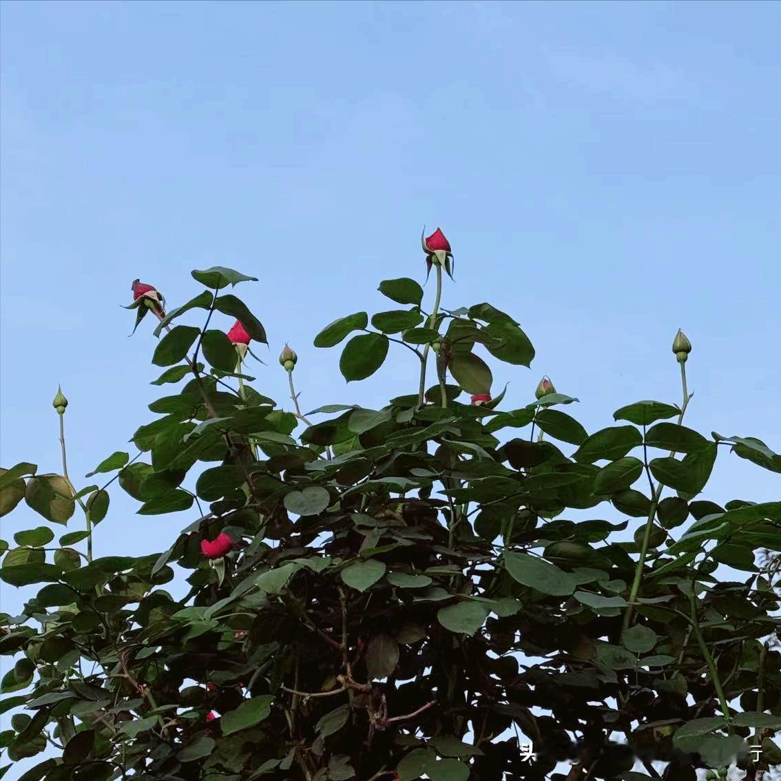 新余市迎来新的主要负责同志
 
4月25日，70后的方向军履新该市。
  
该同