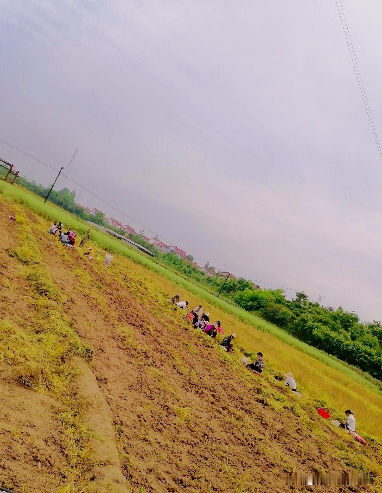 为我的真诚创作点赞！ 👍❤️🔥你也快来发布一条吧！带记录真实生活话题，更容易