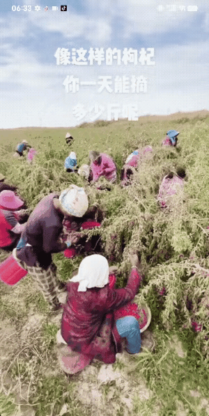我们生活在城市，哪里想得到农民的生活竟是如此潦草。
70多岁的河南老奶奶，身板还