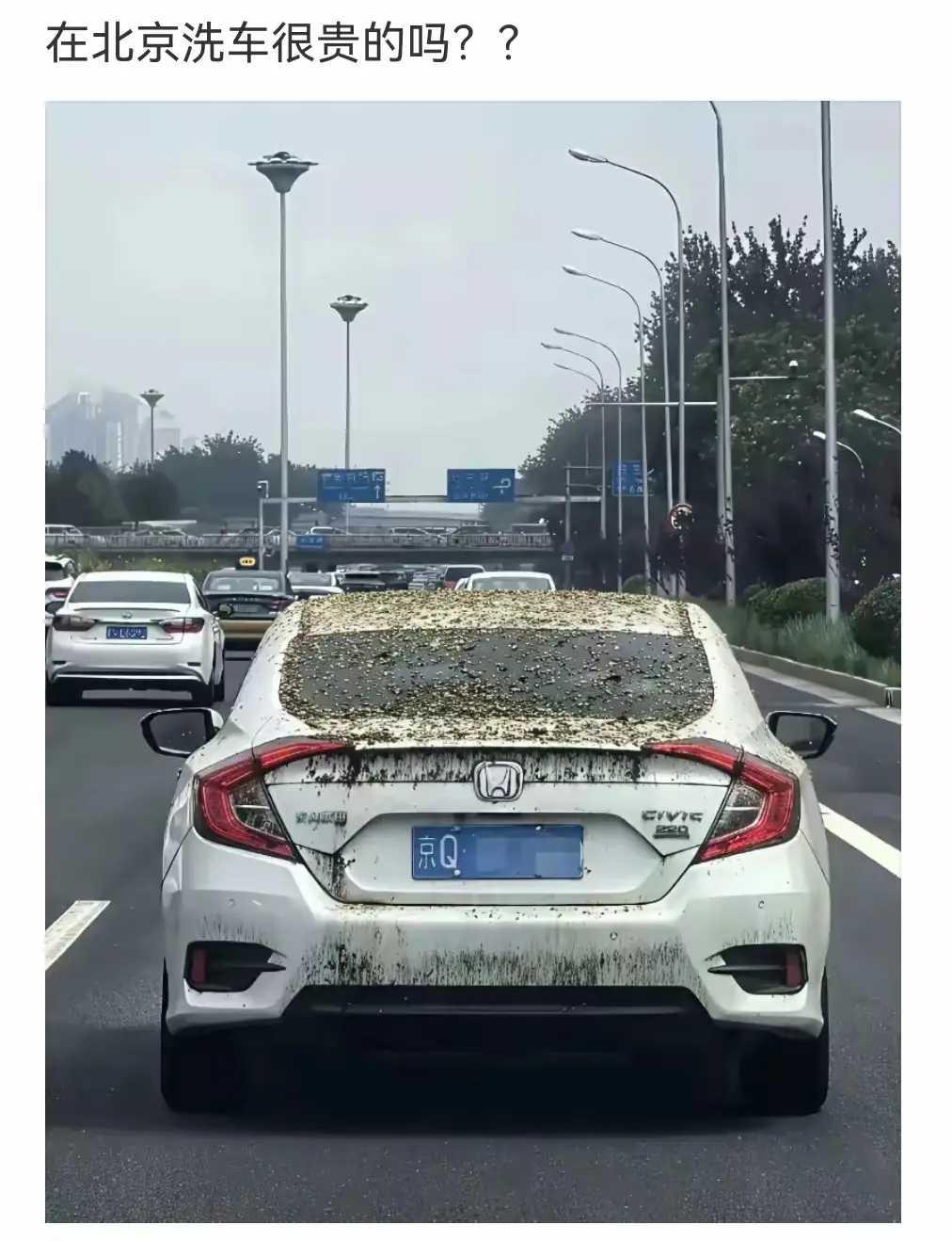 网友：这不会就是一年两箱油车主，在洗车路上吧！