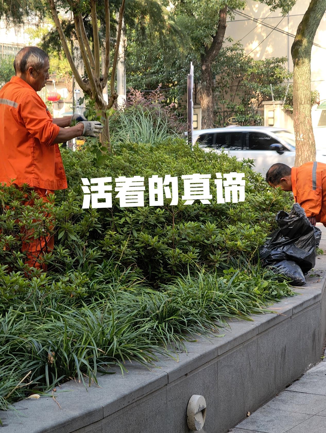 那每一次化疗后的无力感、随时都可能倒下、不能转身、不能回头，抬不起腿，提不起物…