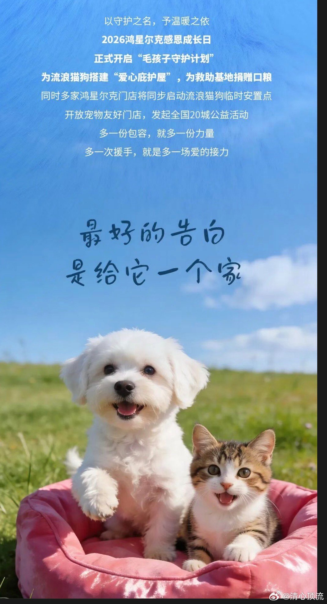 鸿星尔克官宣流浪猫狗守护计划 鸿星尔克的公益真的是让人觉得特别暖心啊，能够帮助到