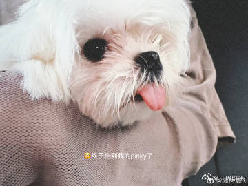 陆柯燃生活随拍碎片陆柯燃随拍plog 陆柯燃这组日常plog好有松弛氛围感。随手