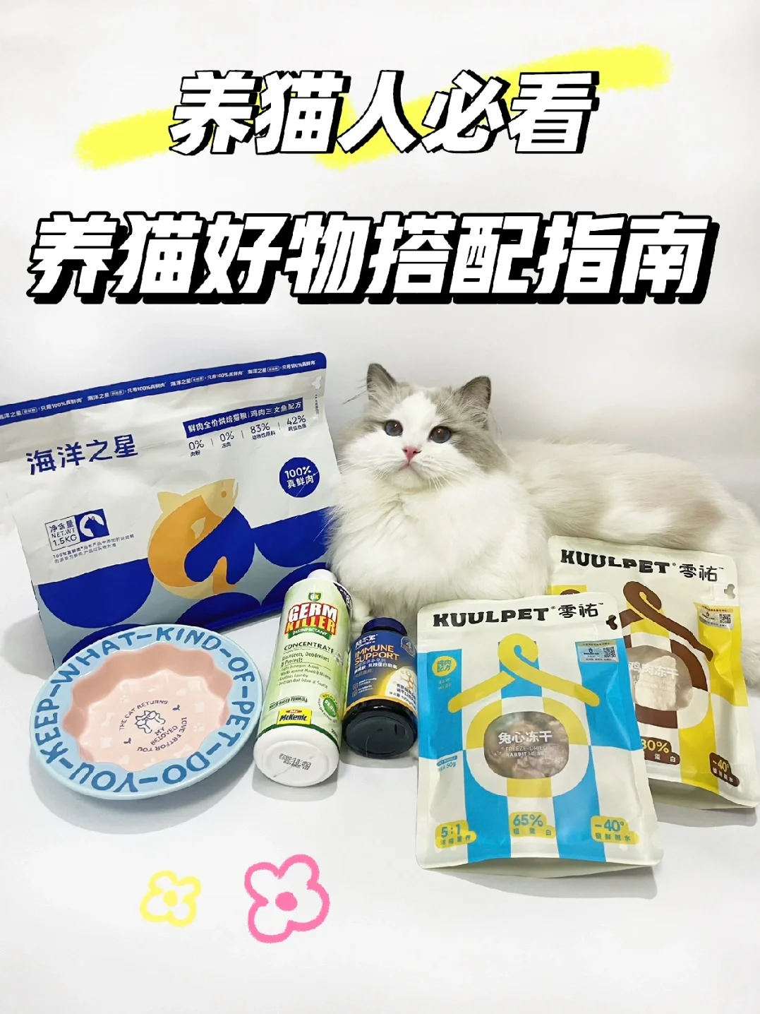 🐱喵星人宝藏｜好物搭配指南