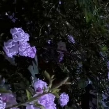 慈善就在身边，就在眼前，就在一转念间，就在举手投足中,慈善不应该是富人良心发现时
