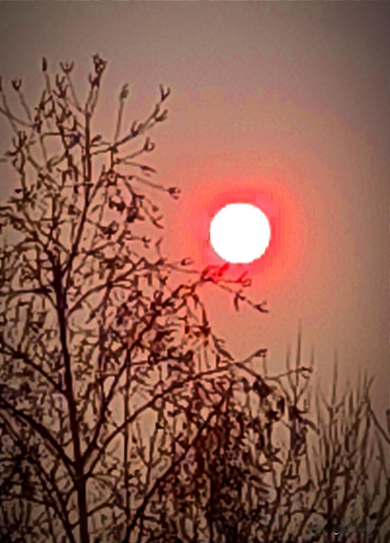 东北的语言，本来就与国家标准语言普通话，语调十分接近。所差就是一些土语词汇。自从