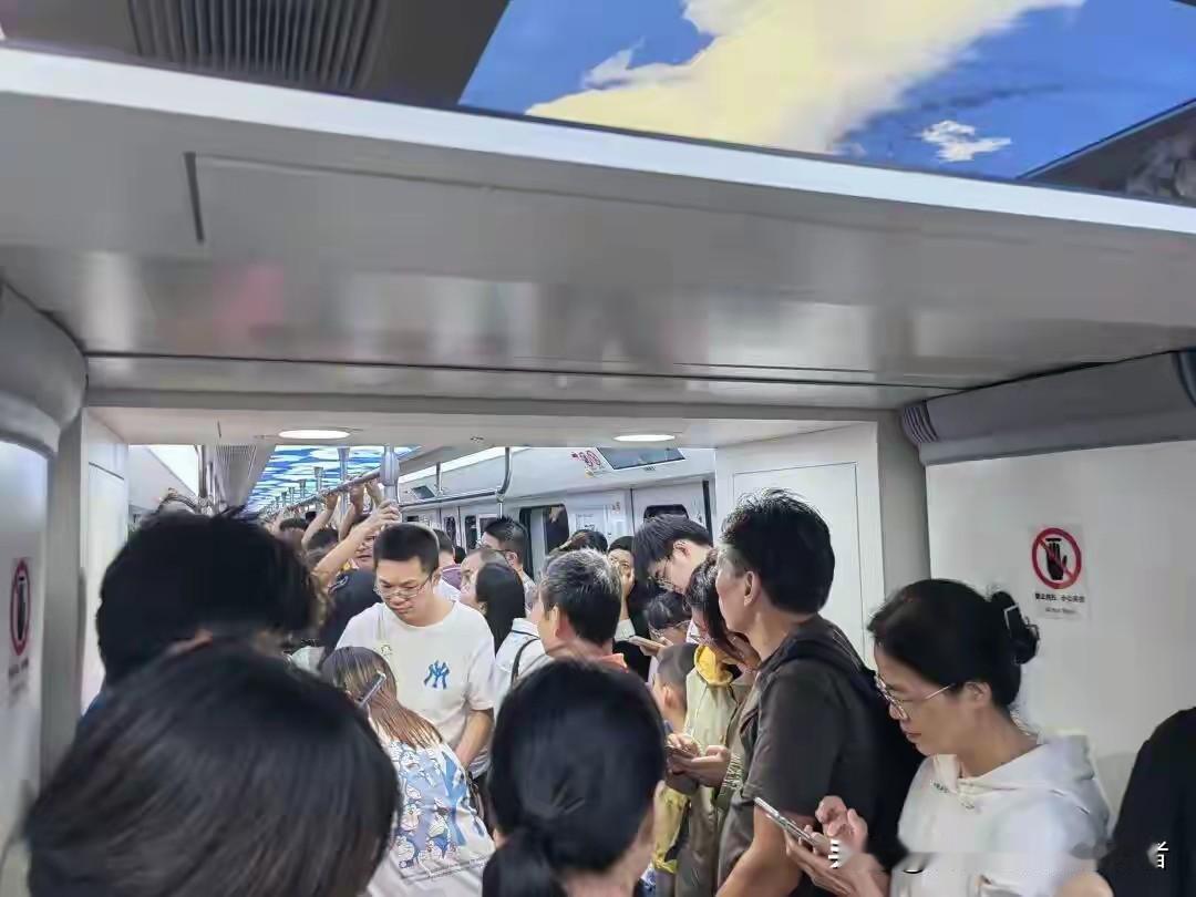 2025年武汉光谷那个“河山添锦绣”文旅大巡游也太夸张了！超10万人举着红旗挤在