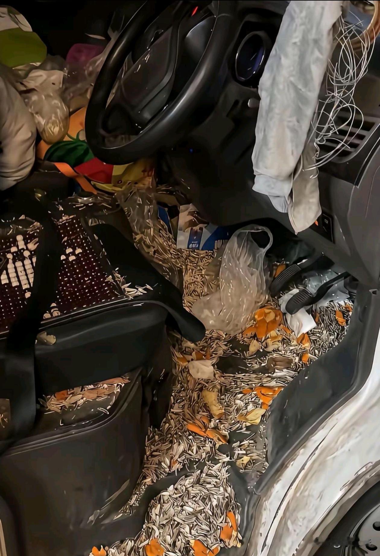 说爱干净他不往外面扔，说他不爱干净，他扔的一车全是