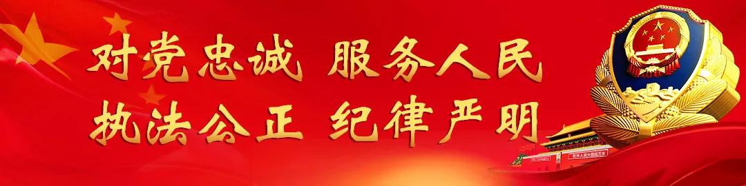 【龙沙公安反诈一分钟】别中招！远程操控手机如何防范？（第10期）

 
 
 
