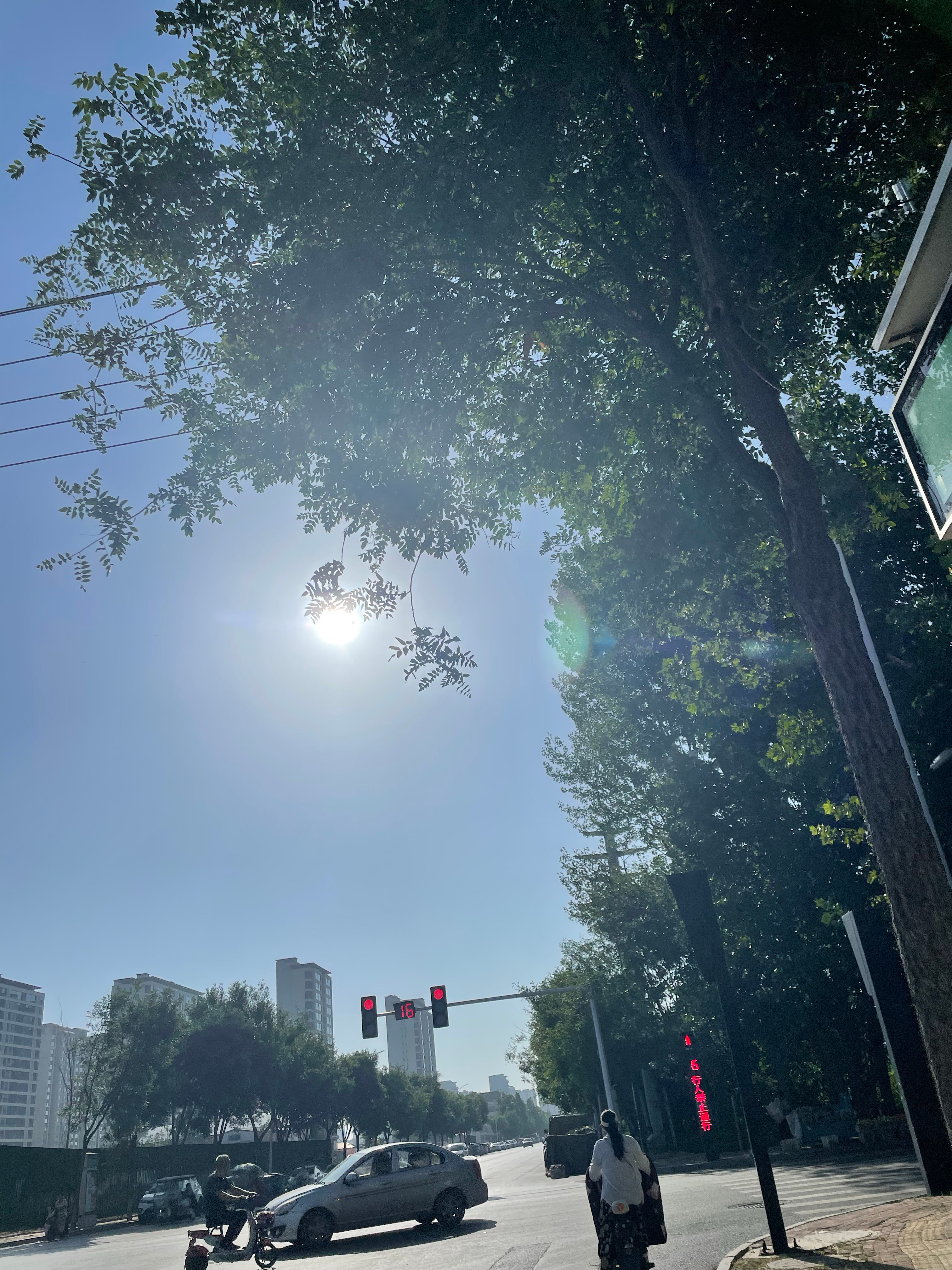 唉，人类总在互相伤害，还好我是一只小猪 