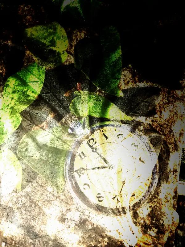 看到一段话，很有感触！
现在世界上最贵的，再有钱也买不来的东西是什么？
我感觉有