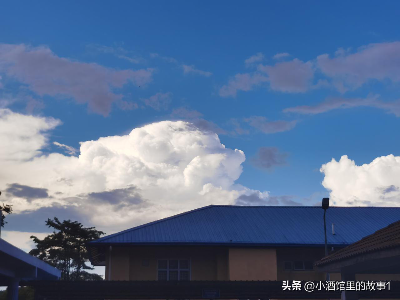 今天真是好天气。
太阳大大的，暖暖的，晒在身上很舒服。
今天是风也刚刚好，不急，