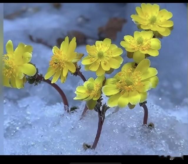 你问我五十三岁还有委屈的感觉吗？有，刚刚和我同志吵完架，我感觉好委屈。委屈的直接