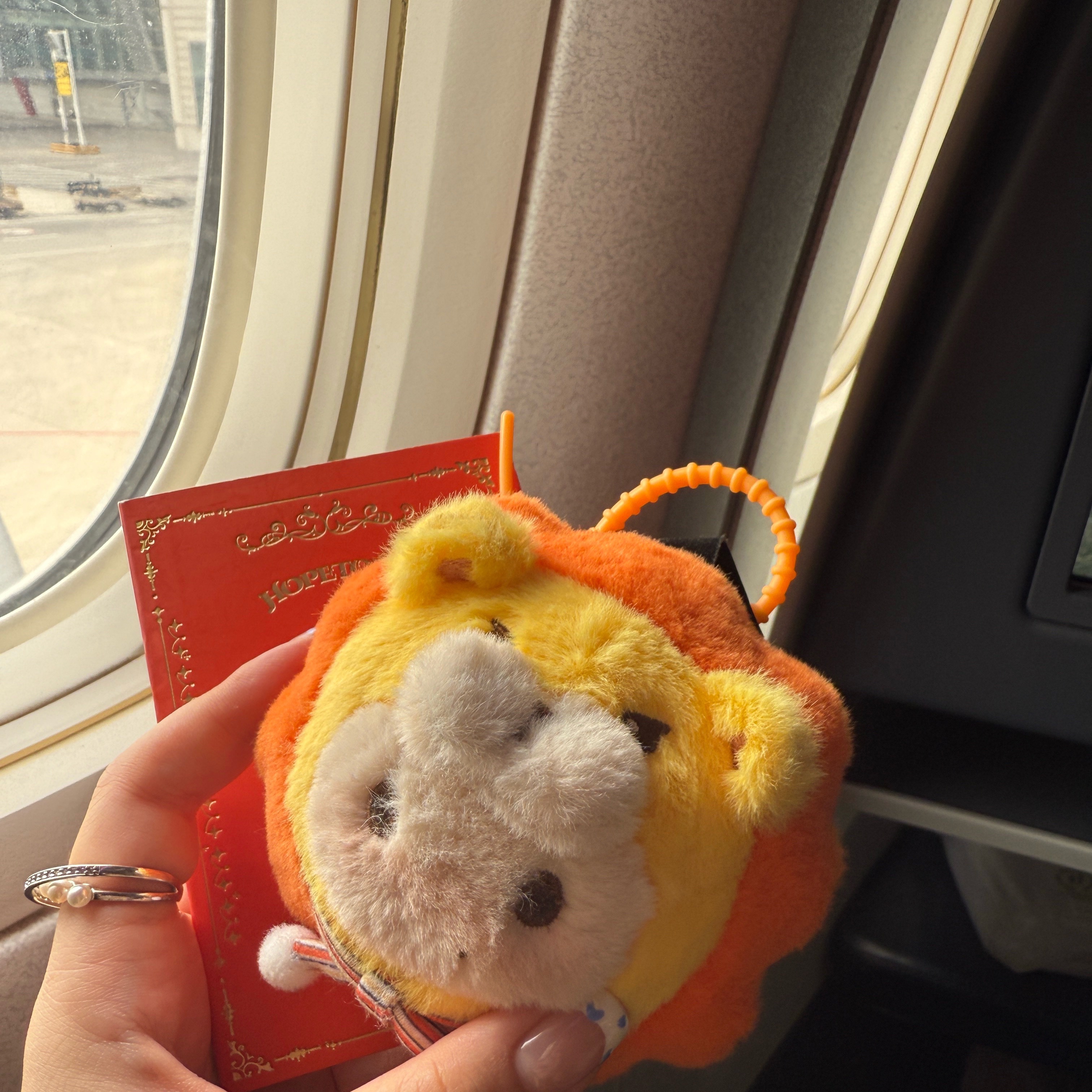 HO宝出发🛫 