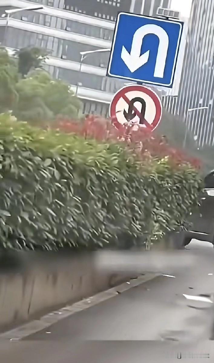 到底能不能转弯？这可关系到广大有车一族切身的经济利益，必须高度重视。车辆转弯规则