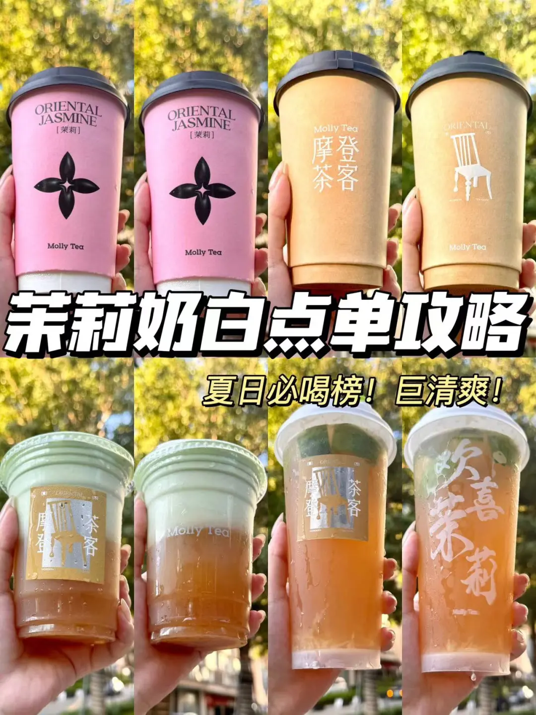强烈安利‼️茉莉奶白2024点单攻略🔥巨好喝✅