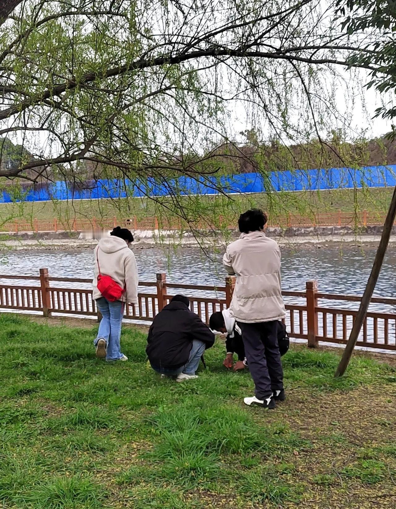 成都北林绿道江安河畔挖野菜会上瘾挖到药食同源的婆婆纳


成都北林绿道春天正是挖