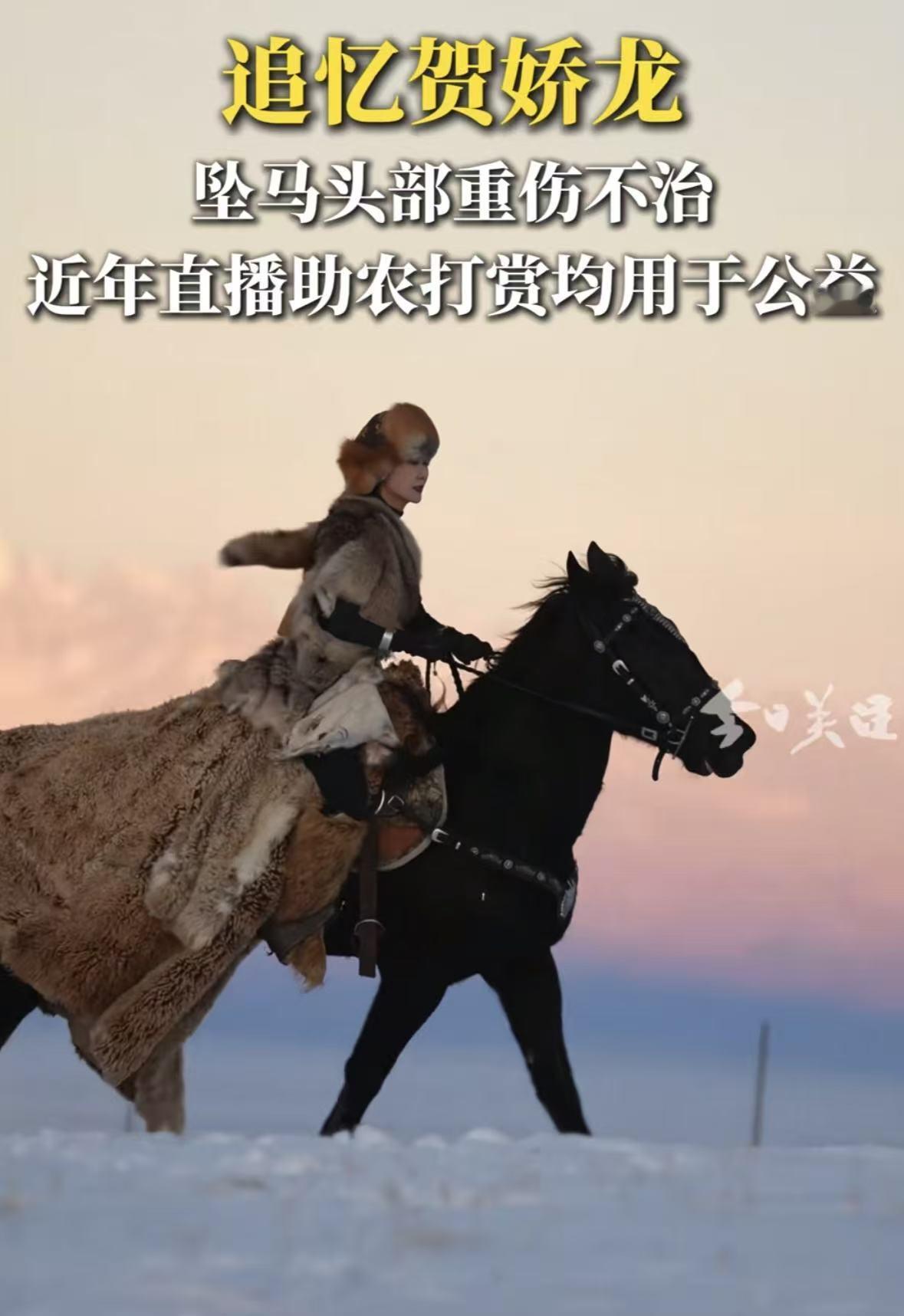 贺娇龙走了，她的家庭背景被网友扒了出来，
果然不简单！
她的们一家子压根不是土生