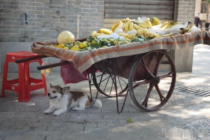 广州【广州街头】万家灯火，百姓生活。（图 师江渊 ​​​