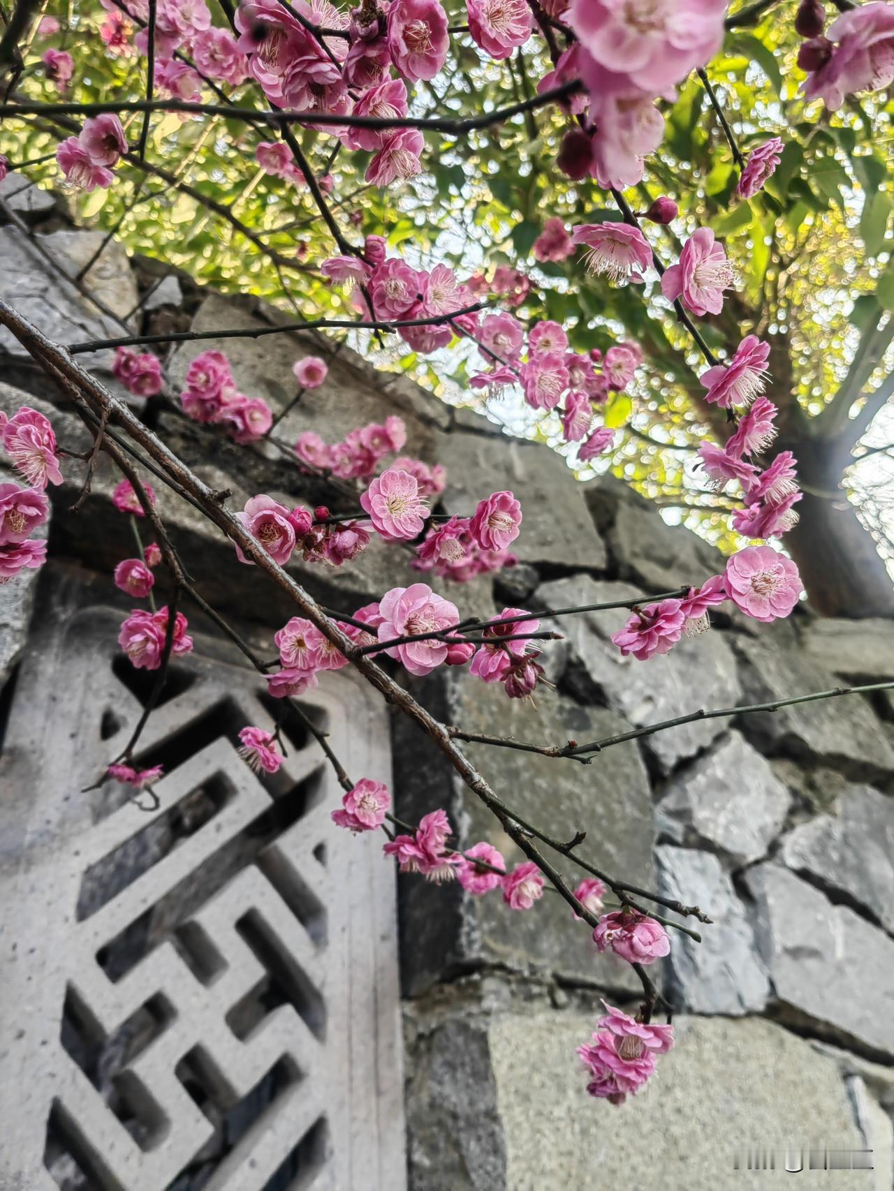 眼睛要常带笑，看人看事都往好处想，心情好了，机会自然多；嘴巴别总说丧气话、抱怨话